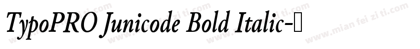 TypoPRO Junicode Bold Italic字体转换